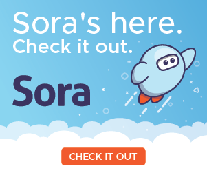 sora-introduction.png